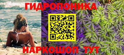 стафф Нягань