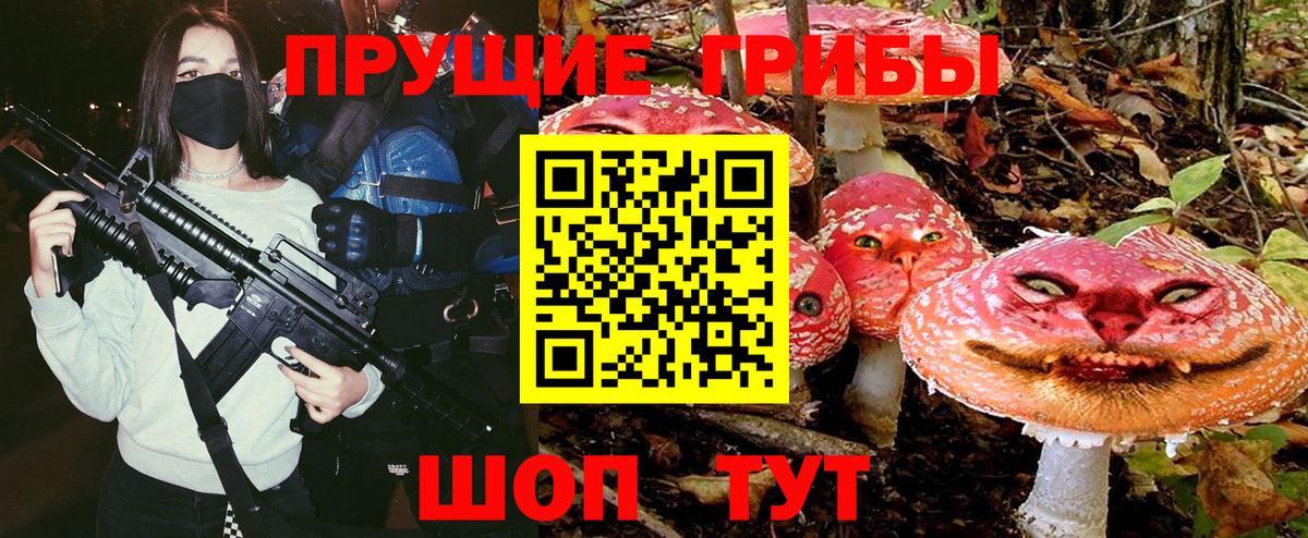 Псилоцибиновые грибы Cubensis  Псилоцибиновые грибы GOLDEN TEACHER  Вход с VPN  Солнечногорск 