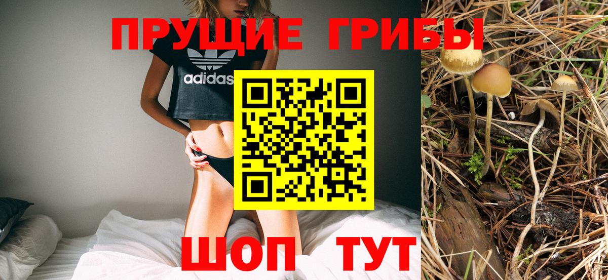 Псилоцибиновые грибы GOLDEN TEACHER Солнечногорск